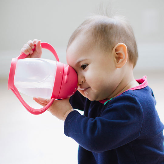 Lollacup Sippy Cup